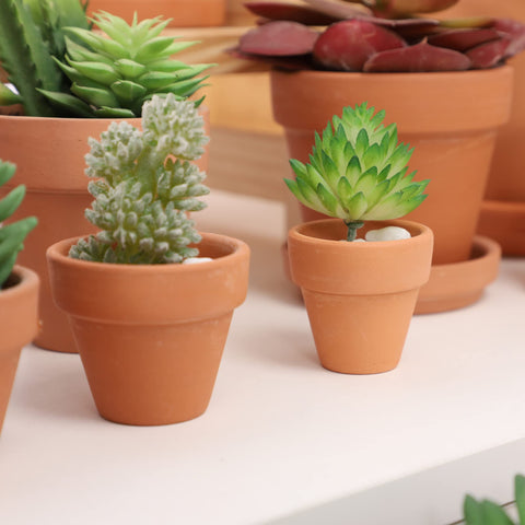 Yishang small planter perfect for DIY decor and gifts.