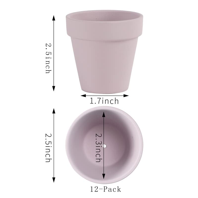 Yishang mini terracotta pot ideal for indoor cactus and herbs.