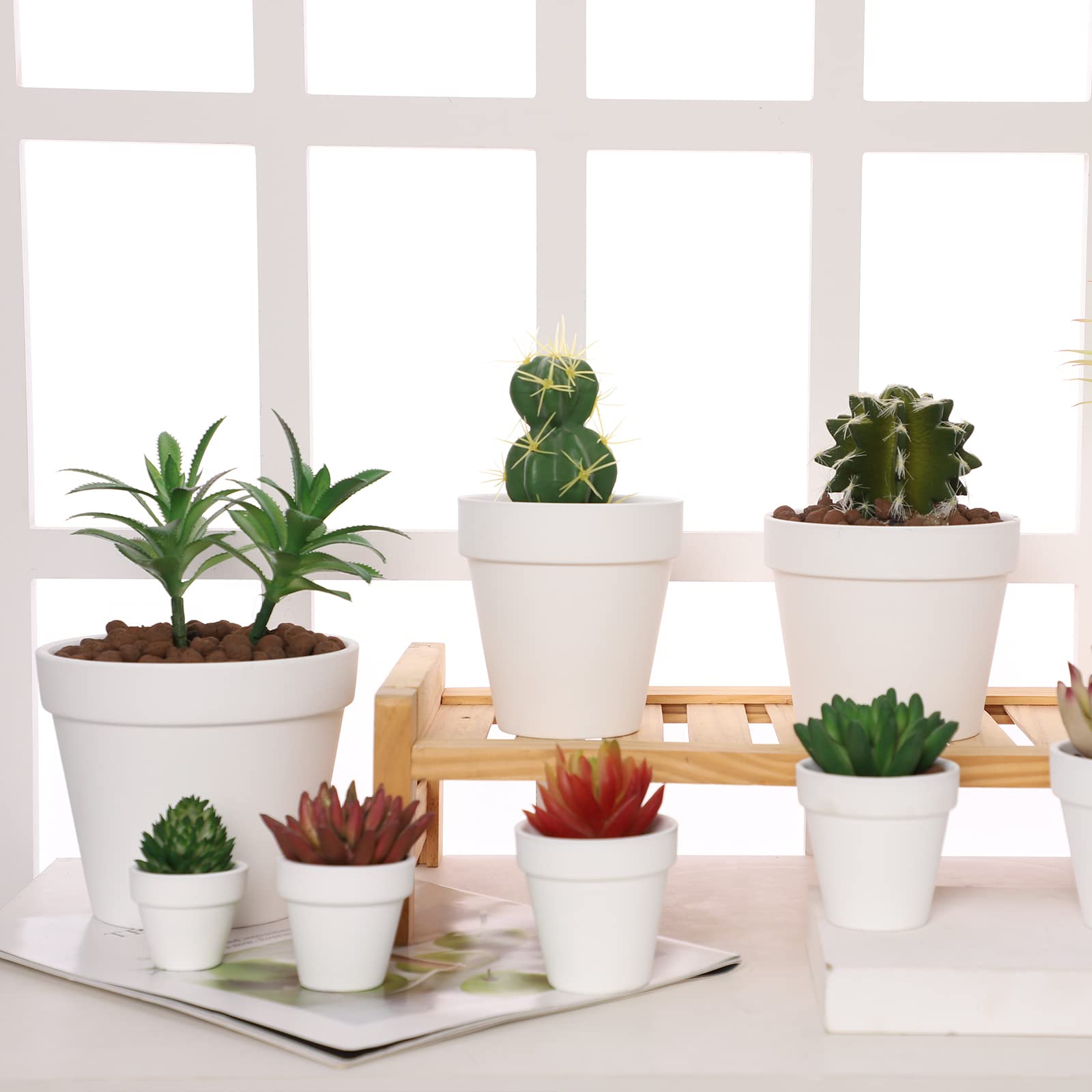 Yishang small pot for succulents perfect for gifts and decor.