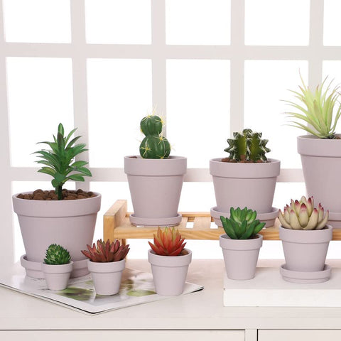 Yishang succulent nursery pot pack for DIY home projects.