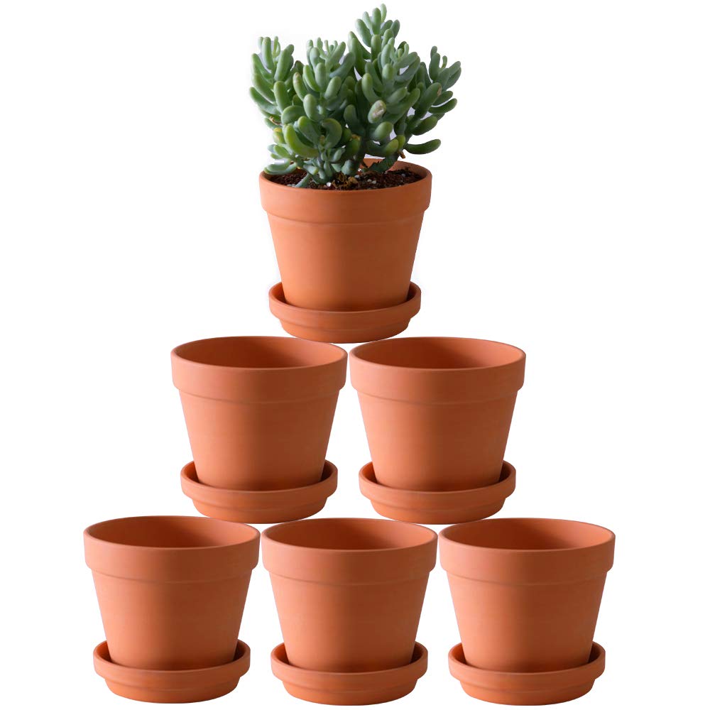 Yishang terra cotta pot 5.5 inch with saucer for well-drained herbs and succulents