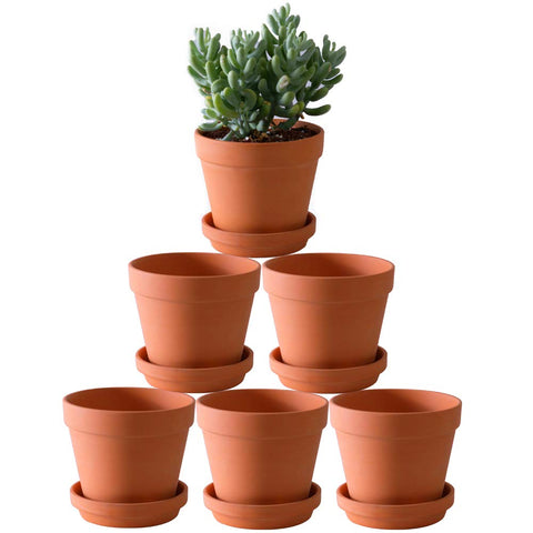 Yishang terra cotta pot 5.5 inch with saucer for well-drained herbs and succulents