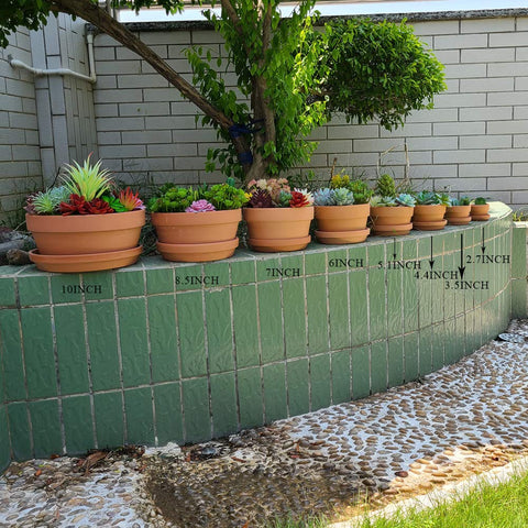 Yishang terracotta pot with saucer for indoor outdoor use in compact setups.