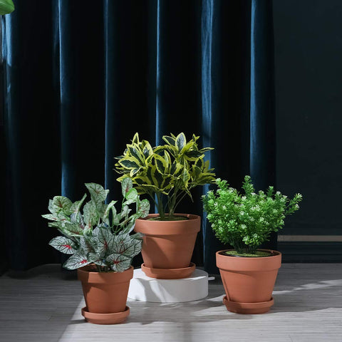 Yishang terracotta trio pack for versatile indoor and outdoor planting.