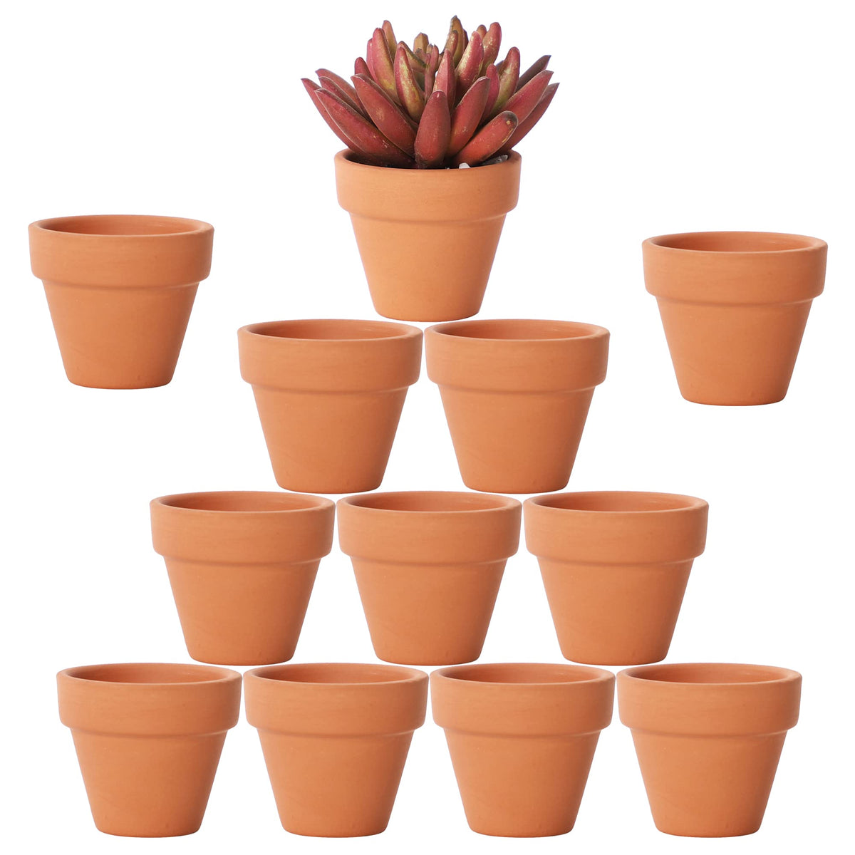Yishang tiny terracotta pot with drainage for succulents.
