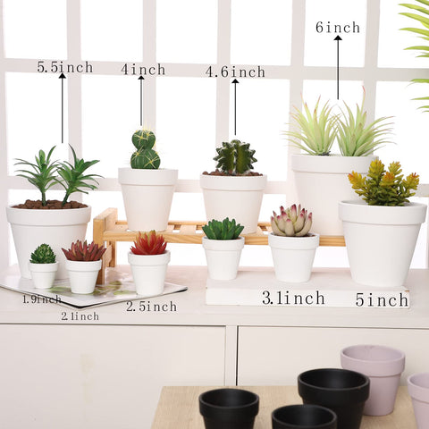 Yishang white clay nursery pot 36 pack suitable for starter gardens.
