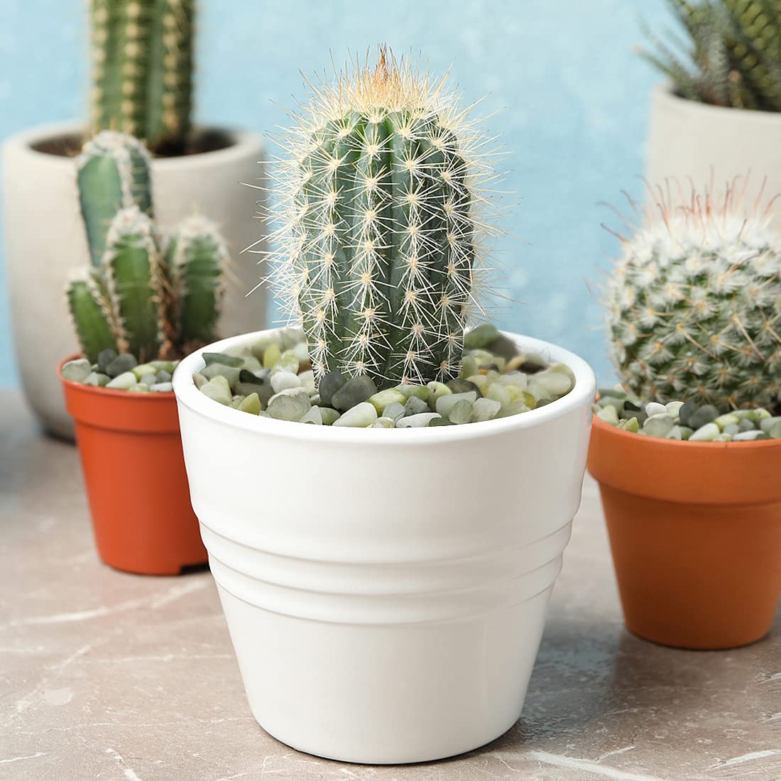 YISZM 3-8-inch natural stones ideal for planters and vases