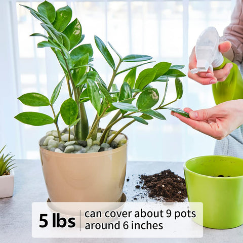 YISZM 3/8-inch stones improve drainage for drought-tolerant plants.