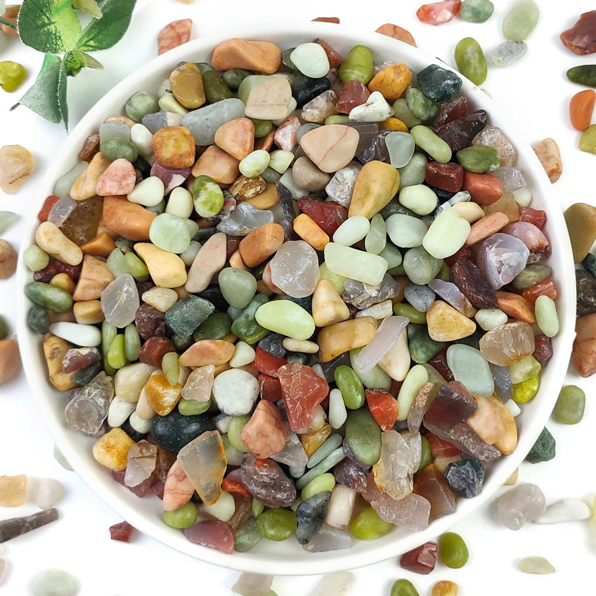 YISZM 5lb succulent pebbles in a colorful planter for vibrant display.