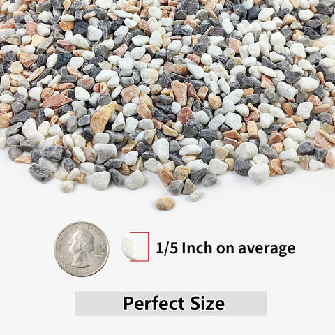 YISZM 5LBS mixed-color pebbles in a vase image highlighting color variety