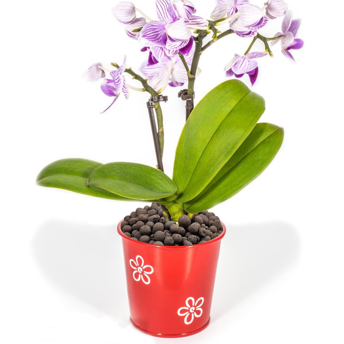 YISZM orchid potting LECA improves drainage and reduces root rot risk.