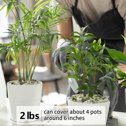 YISZM bottom-layer rocks 2lb improve drainage in planters.