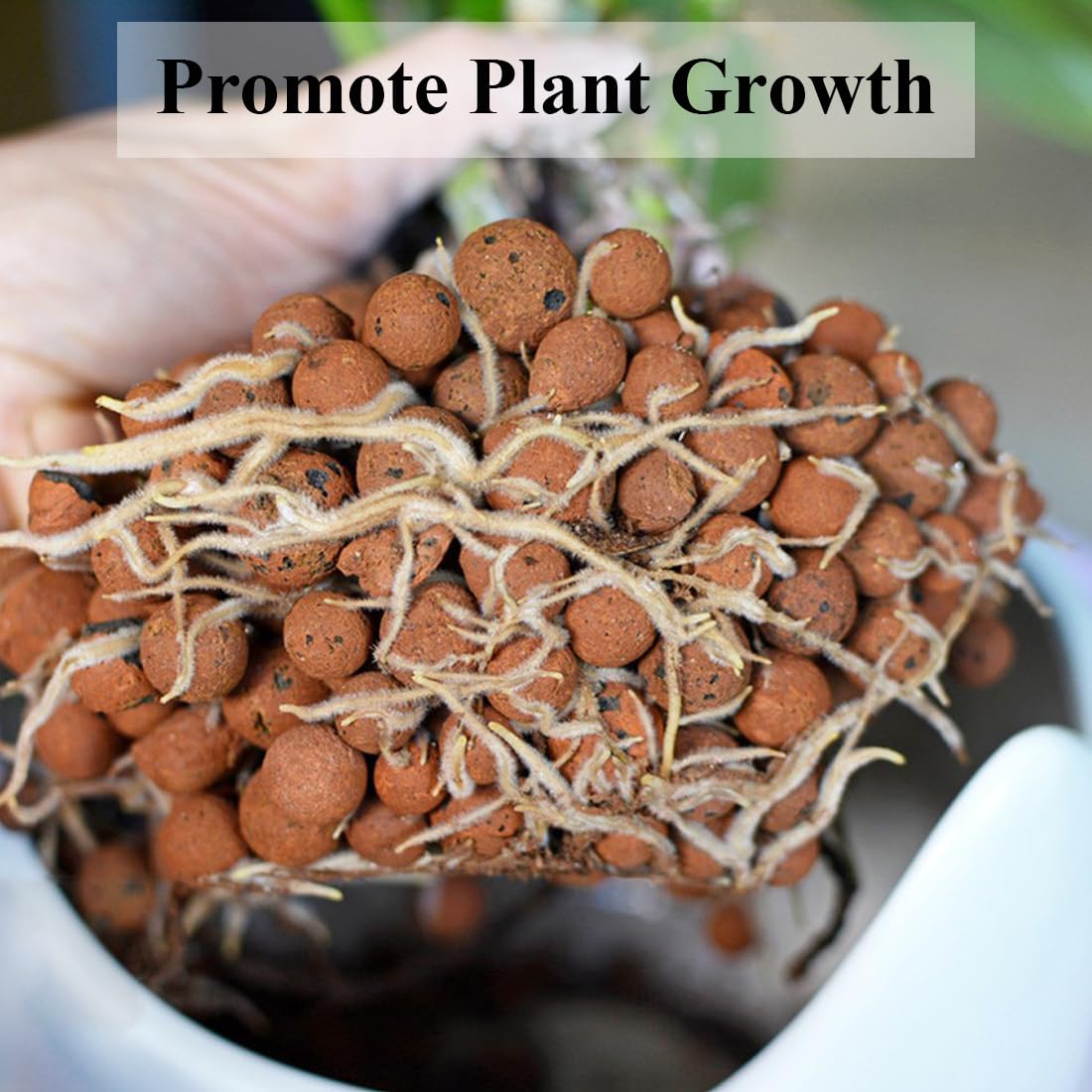 YISZM clay pebbles in succulent planting show improved drainage and container stability.