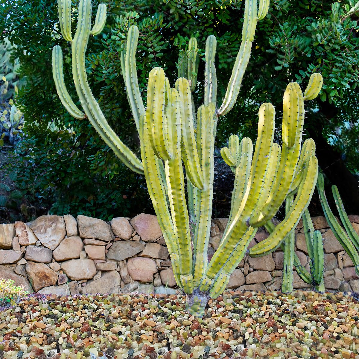 YISZM close-up colorful pebbles highlight texture and shine.