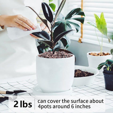 YISZM decorative pebbles for vases and planters enhance visual appeal