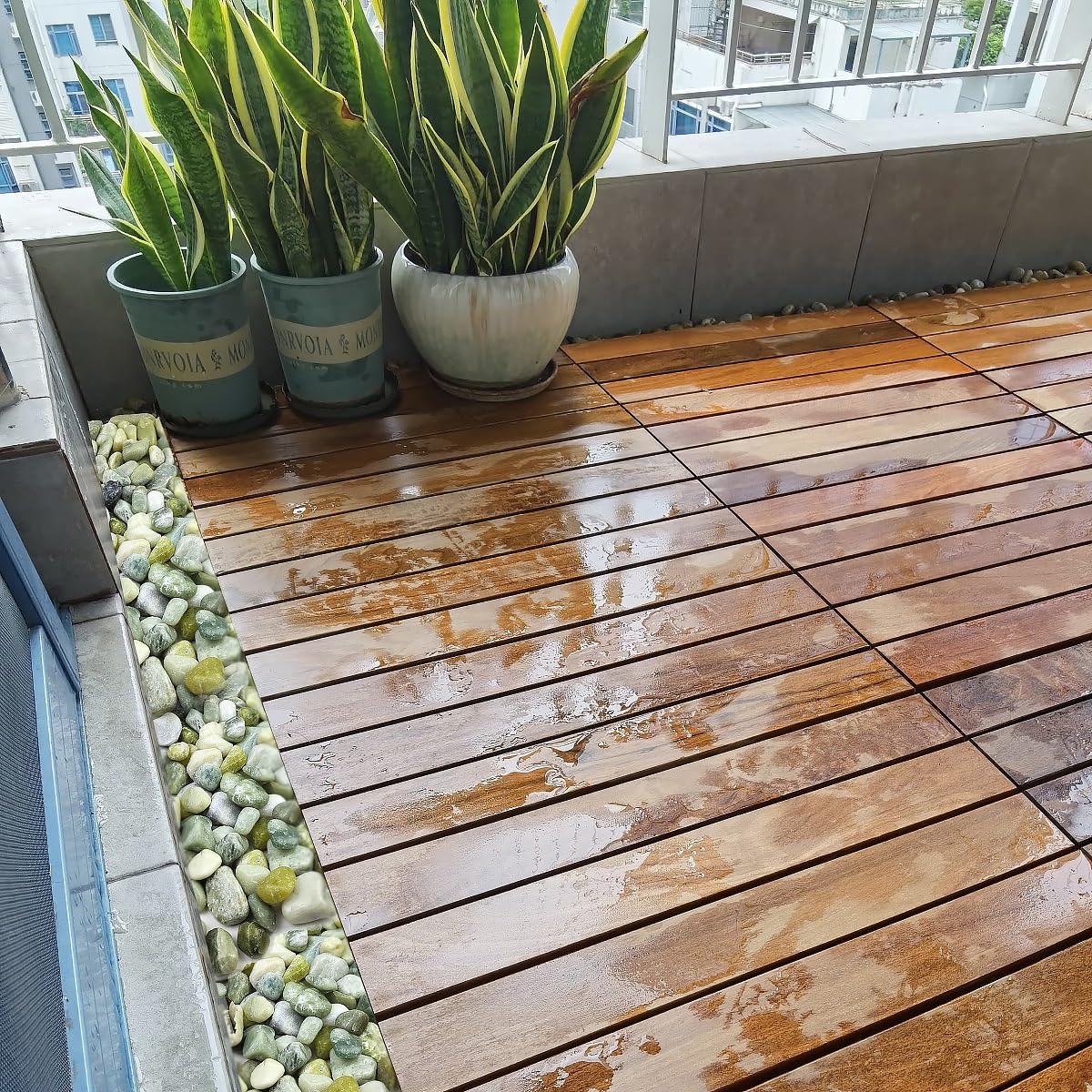 YISZM Long-Lasting Luster; color and shine in planters and displays