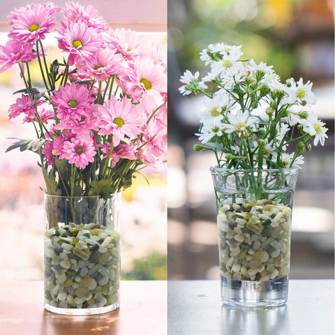 YISZM easy to rinse and reuse in decor projects