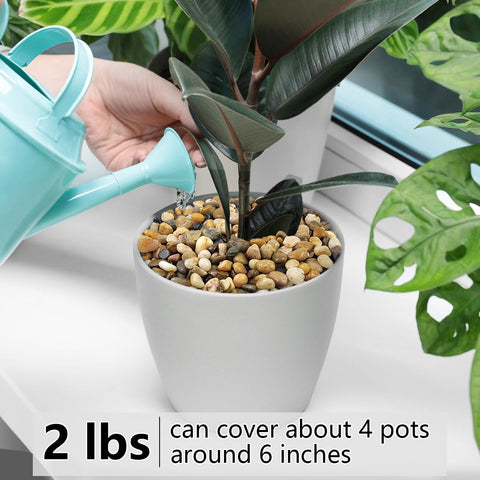 YISZM eco-friendly plant pebbles stay dye-free for pet-safe outdoor use