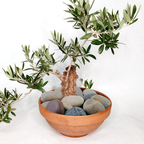 YISZM river rocks for fish tanks, non-toxic and safe