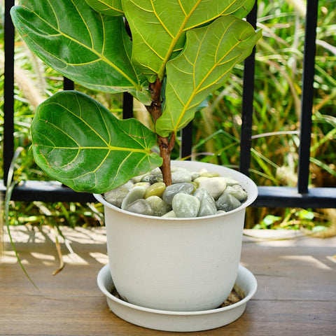 YISZM Jade Pebbles used for gentle relaxation massage ideas