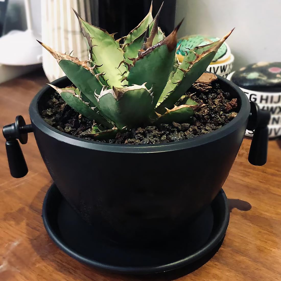 YISZM lava rocks as vase fillers add natural decor