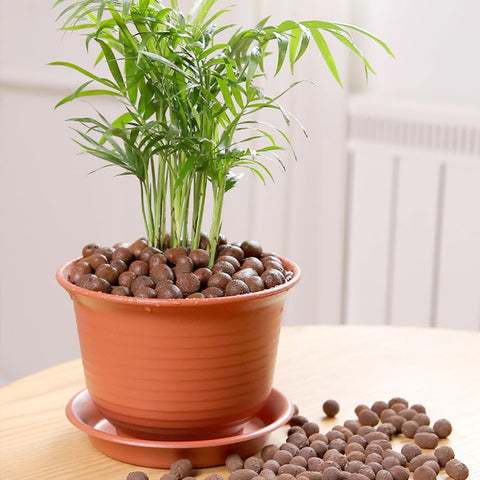 YISZM reusable LECA balls support herb growth with gentle water management.