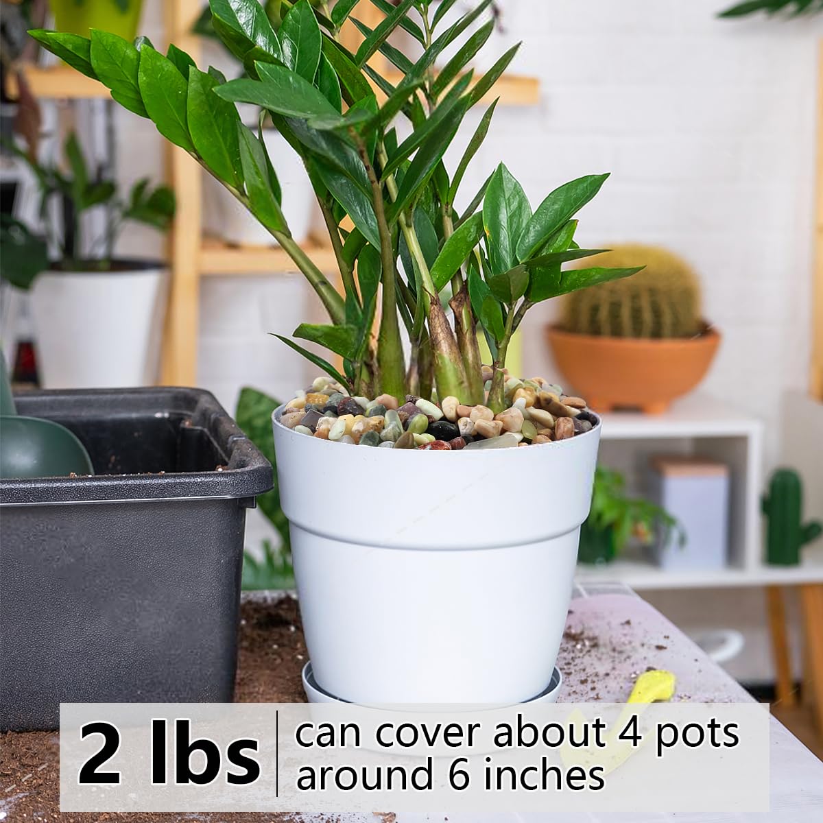 YISZM multi-use pebbles for indoor and outdoor decor and borders