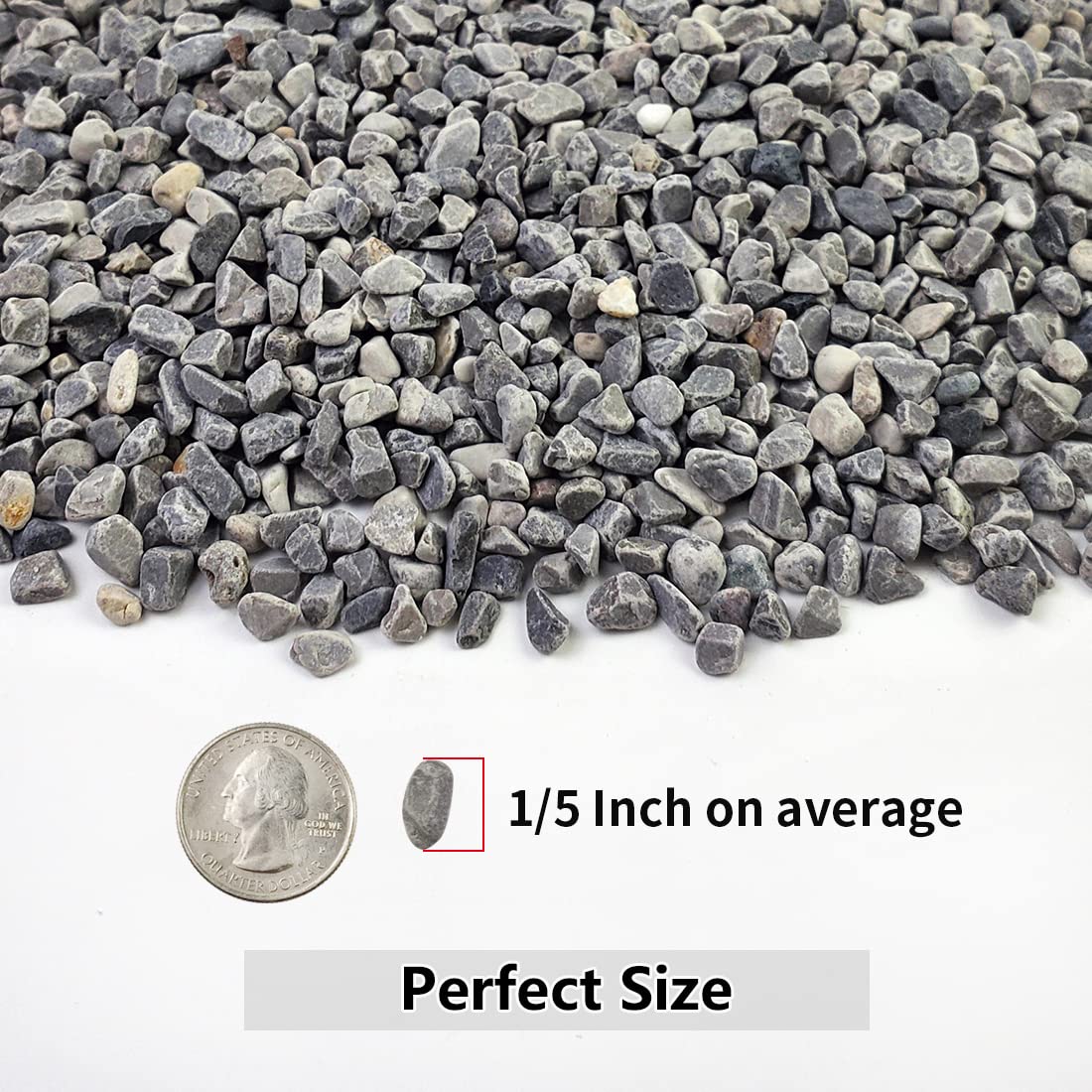 YISZM natural cactus gravel top layer enhances drainage and aesthetics