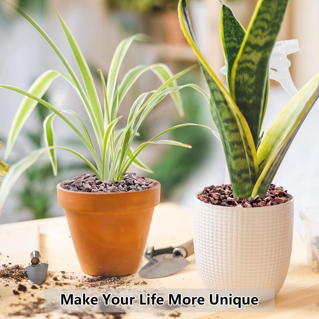 YISZM eco-friendly pebbles are non-toxic and dye-free for homes