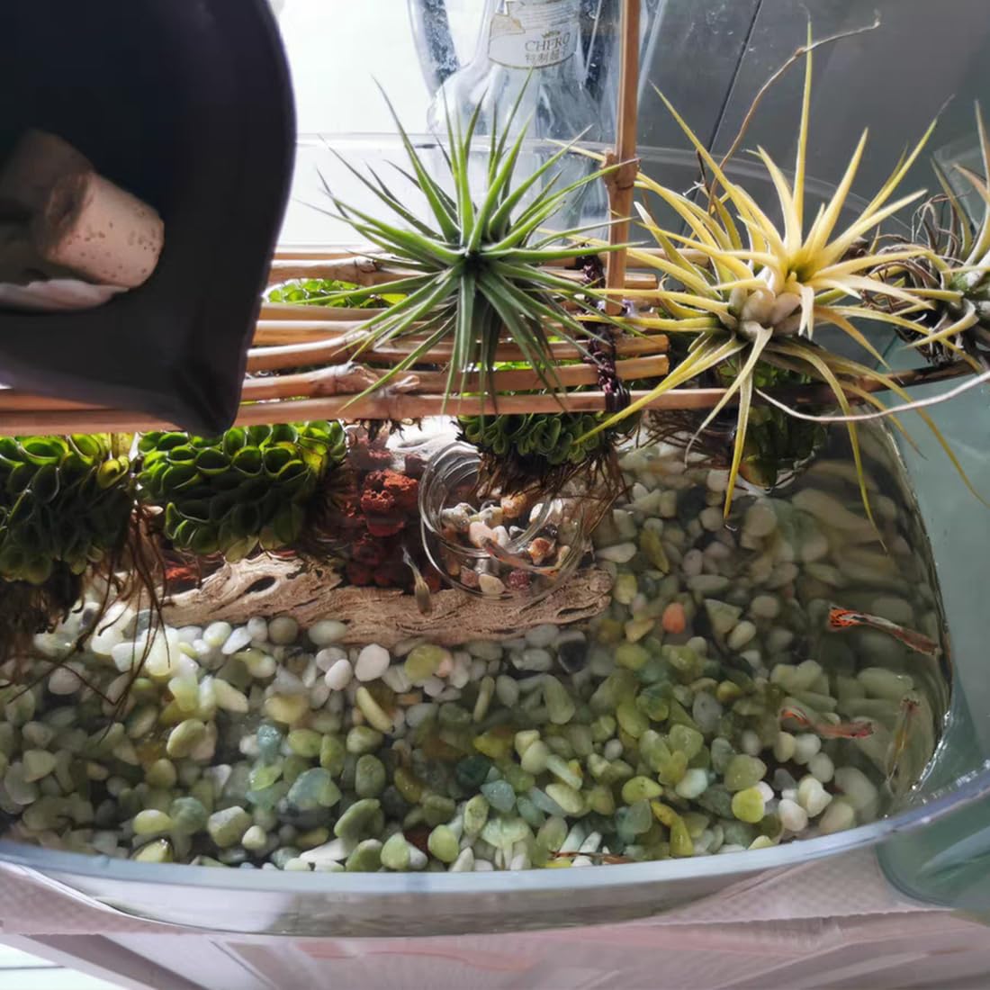 YISZM outdoor pebbles enhance paths and containers.