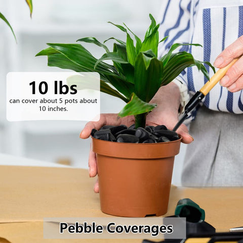 YISZM polished black stones for planters and vase fillers