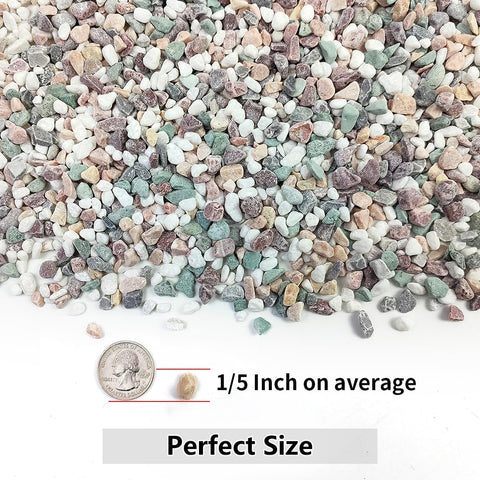 YISZM river rocks close-up color when wet for terrarium displays