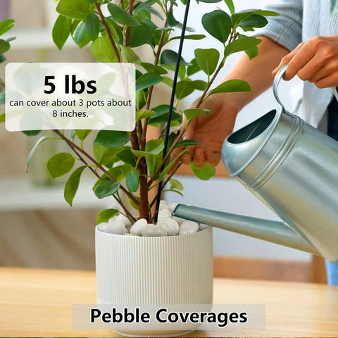 YISZM small stones for vases enable elegant arrangements with stable placement.