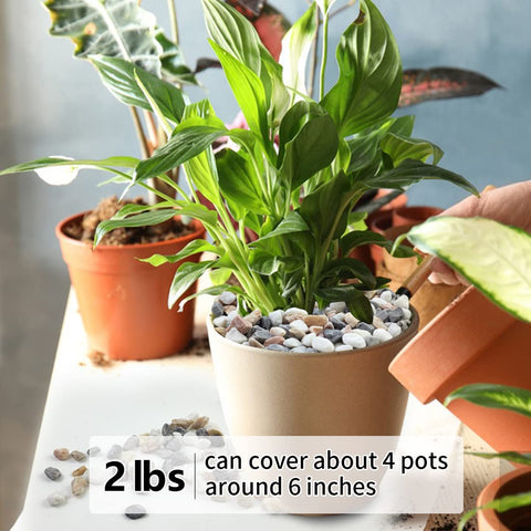 YISZM mixed color pebbles brighten terrariums and displays