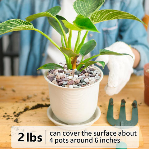 YISZM gravel top layer in pots promotes drainage and prevents overwatering