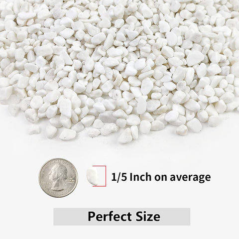 YISZM white decorative stones for vases, adding color while promoting airflow.