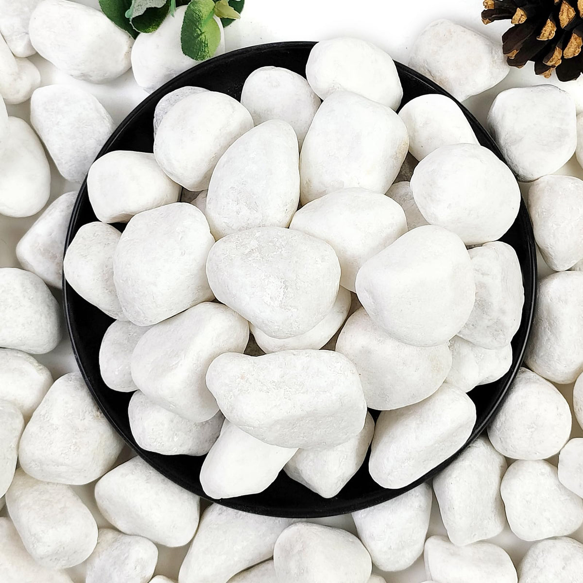 YISZM white pebbles for indoor plants add subtle pot appeal.