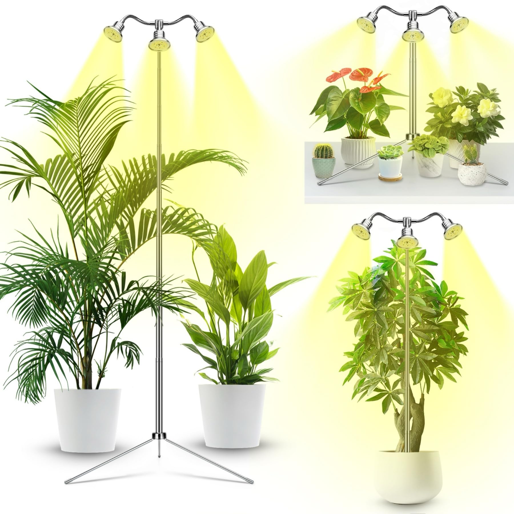 Yiyehu full-spectrum lamp heads illuminate indoor plants for robust growth