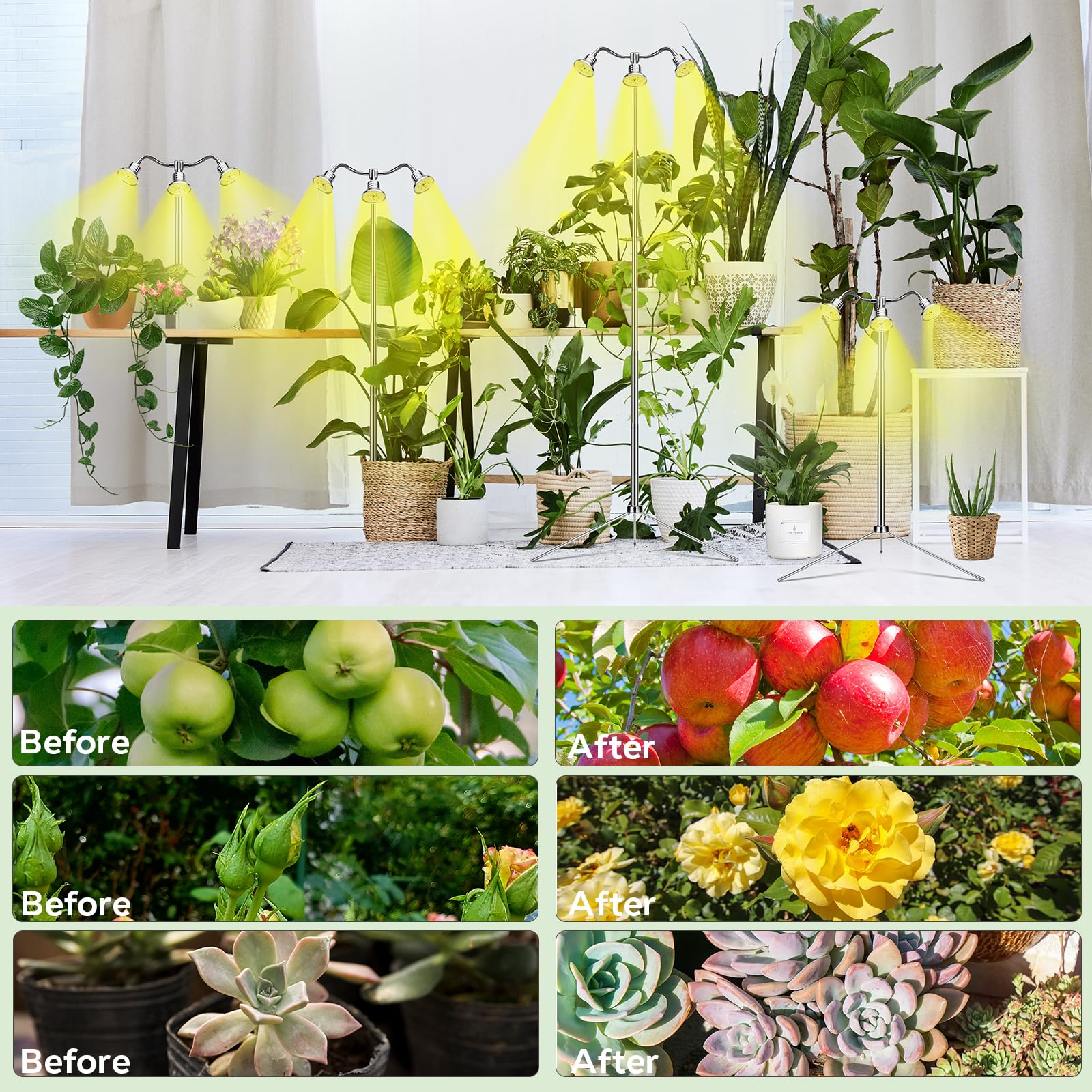 Yiyehu indoor plant setup lit for a sleek, productive growing space