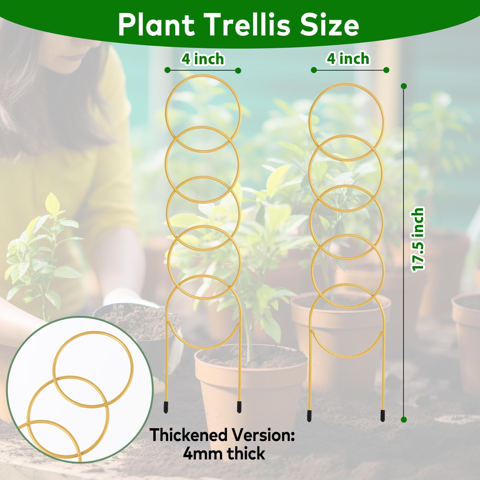 YJAMTFODL 17-5 inch grid trellis provides sturdy vertical growth
