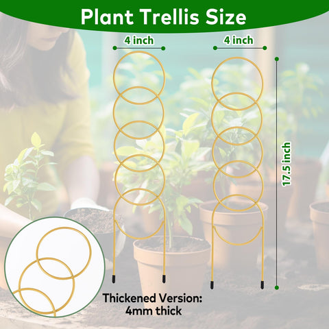 YJAMTFODL 17-5 inch grid trellis provides sturdy vertical growth