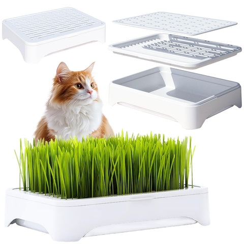 YjiaYjiaY cat grass planter 2-pack front view showing tri-section stability for no-digging