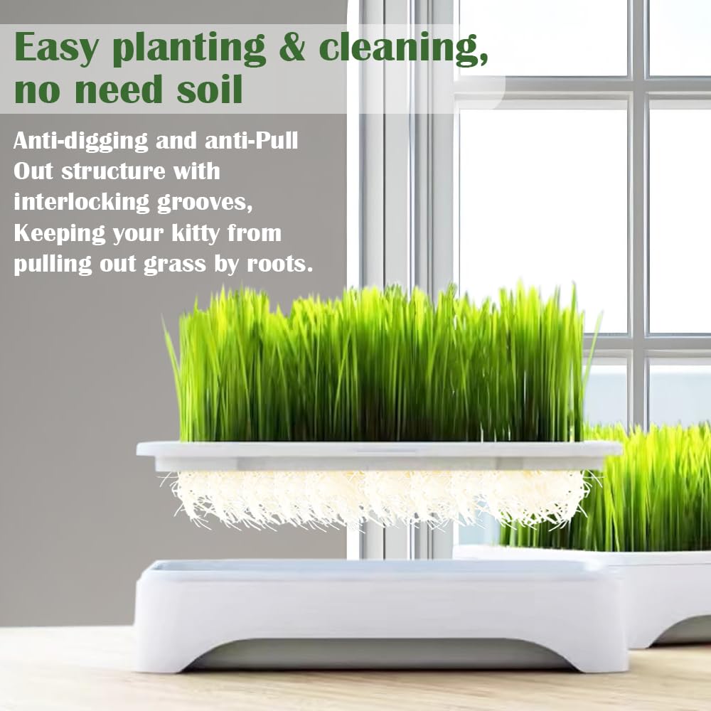YjiaYjiaY cat grass planter ready-to-harvest sprouts in 4–6 days