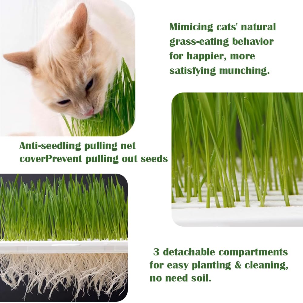 YjiaYjiaY cat grass planter three detachable compartments for easy planting and cleaning