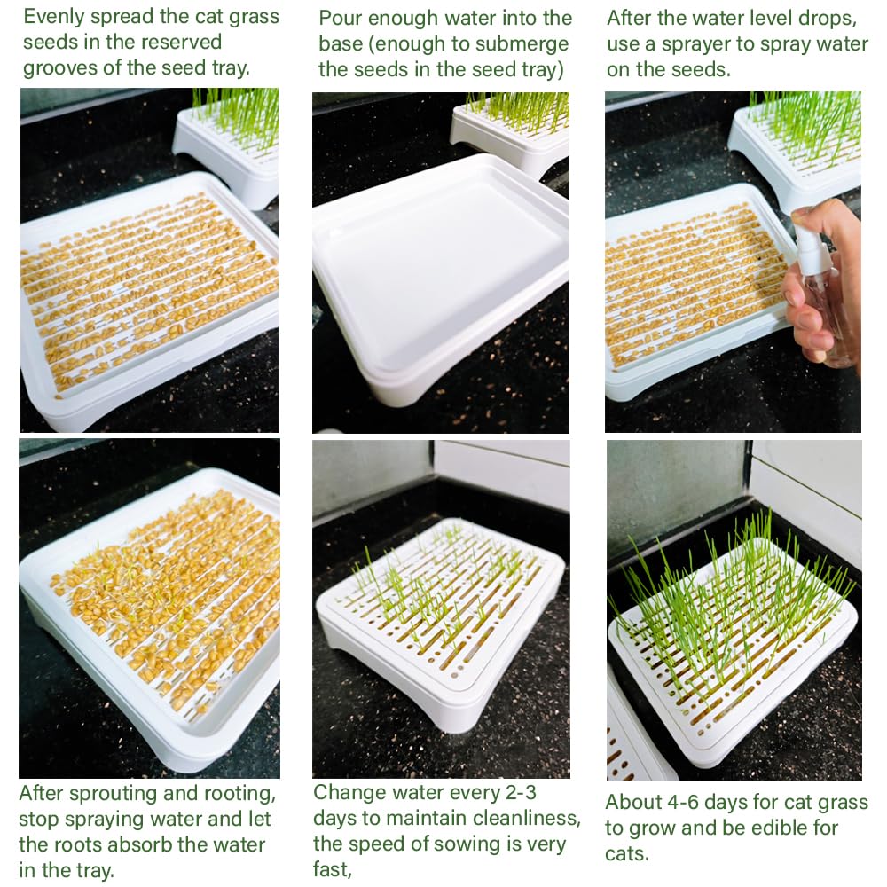 YjiaYjiaY cat grass planter mesh cover assembly emphasizes roots protection and stable harvest