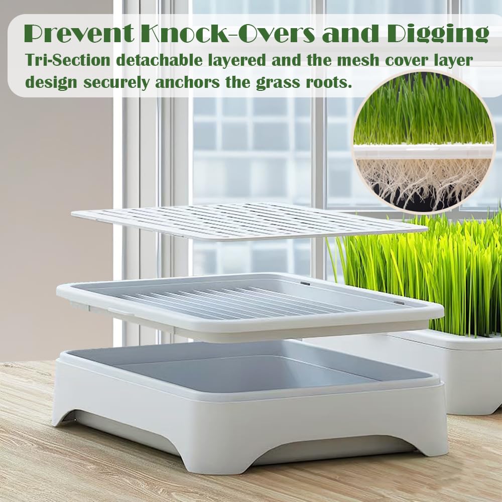 YjiaYjiaY cat grass planter seed tray and water base design promotes quick germination