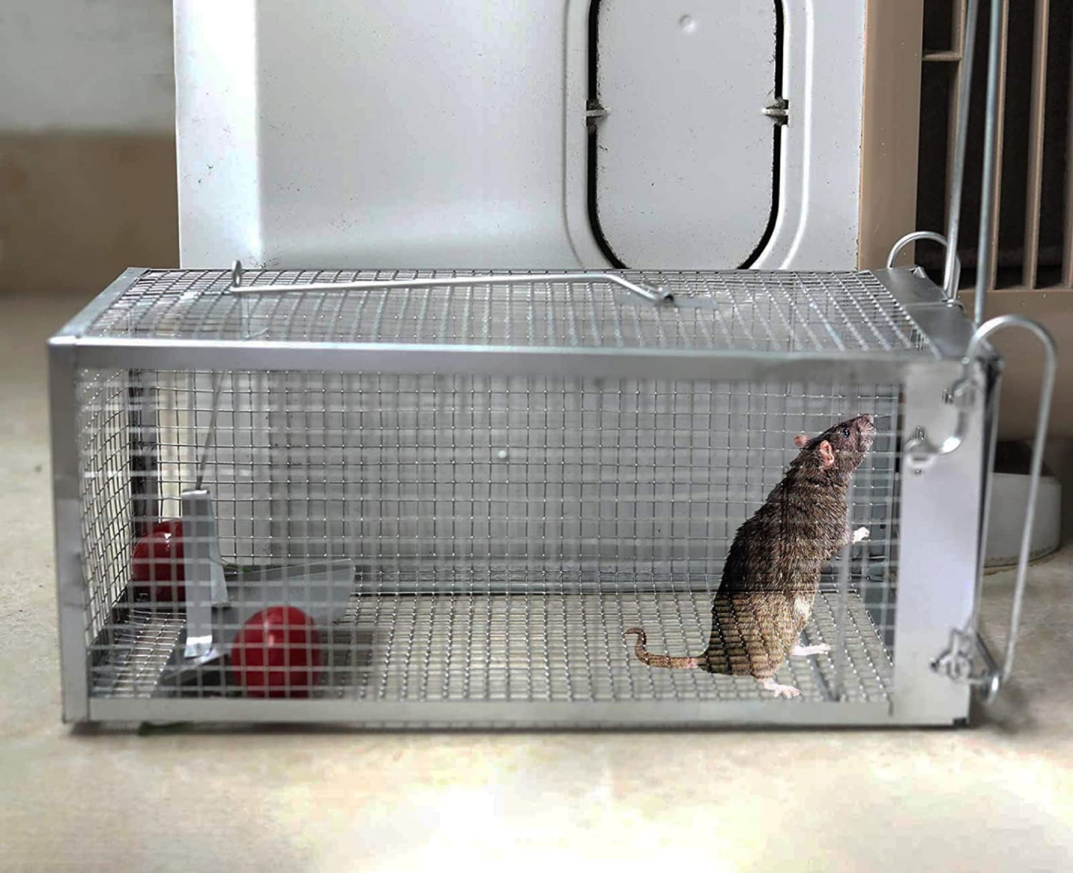 YJOO trap with baiting and release illustrates reusable design