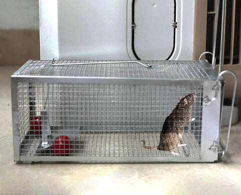 YJOO trap with baiting and release illustrates reusable design