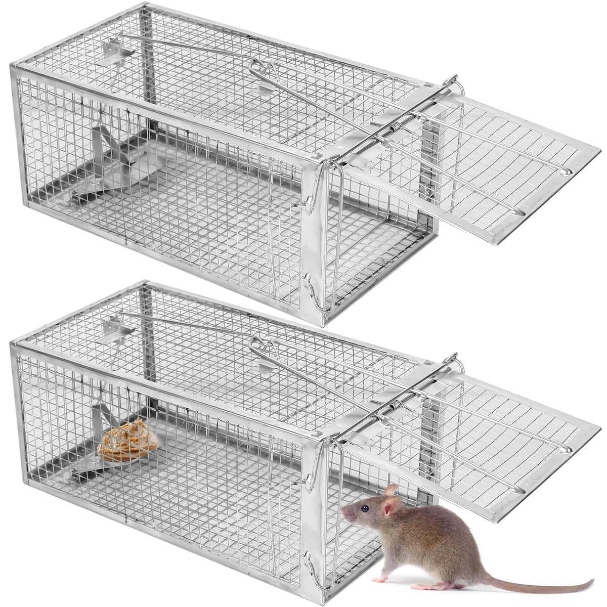 YJOO 2-pack humane rat traps front view for safe live capture