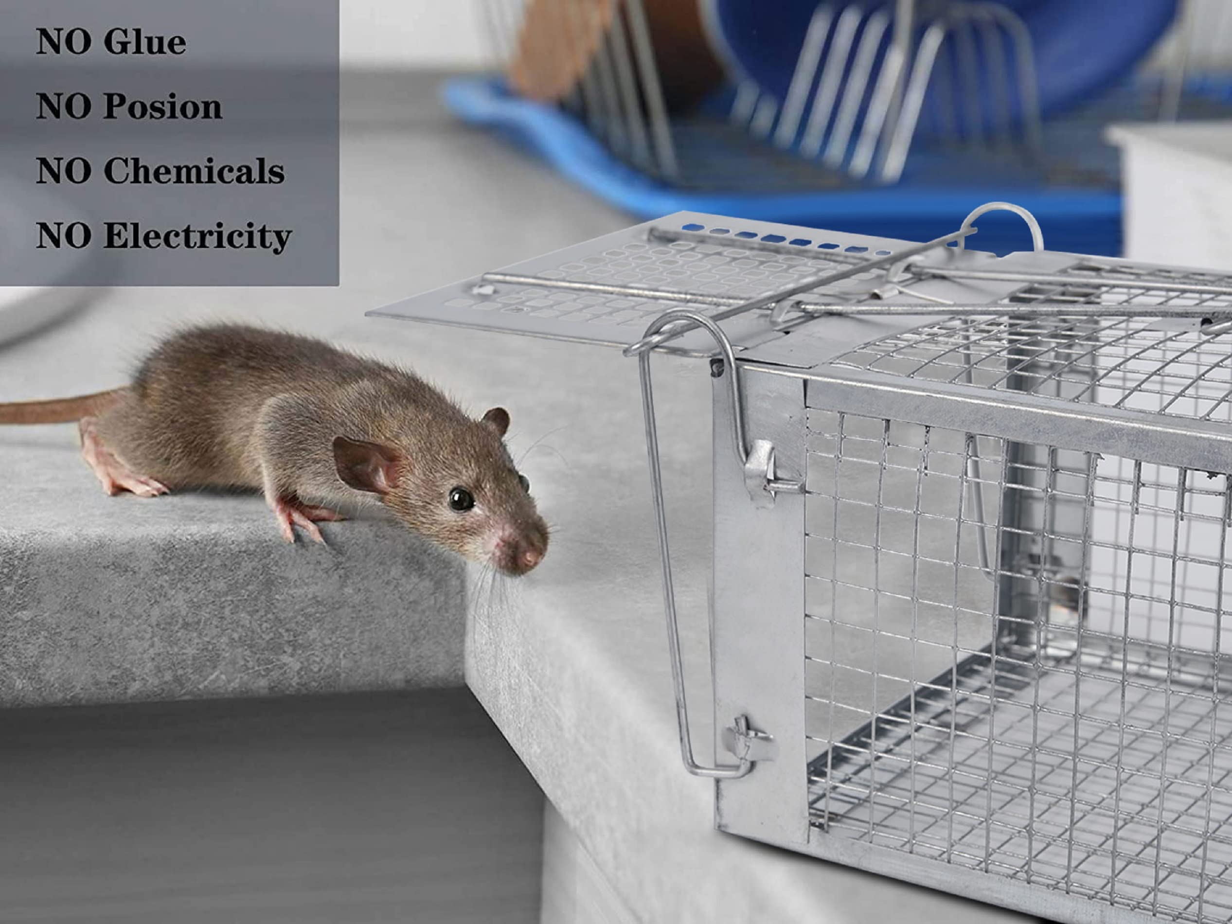 YJOO humane rat traps open view emphasizes catch and release readiness